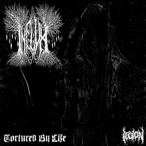 Apathy (Anhedonia)